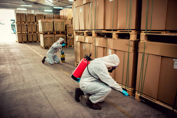 Best Cockroach Control Services  in Rigby, ID