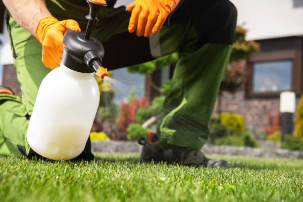 Best Residential Pest Control  in Rigby, ID