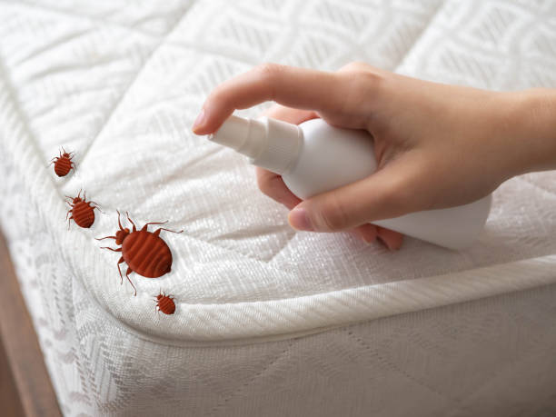 Best Pest Inspection Near Me  in Rigby, ID